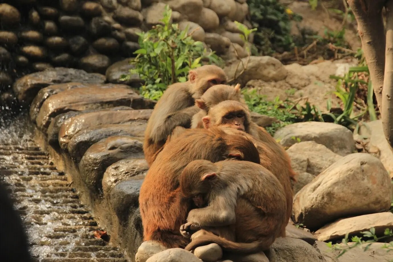 Bitte sende mir die ursprüngliche Beschreibung auf Deutsch, die ich umformulieren soll.